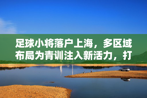 足球小将落户上海，多区域布局为青训注入新活力，打造专业训练新地标，足球小将落户上海，多区域布局为青训注入新活力，打造专业训练新地标