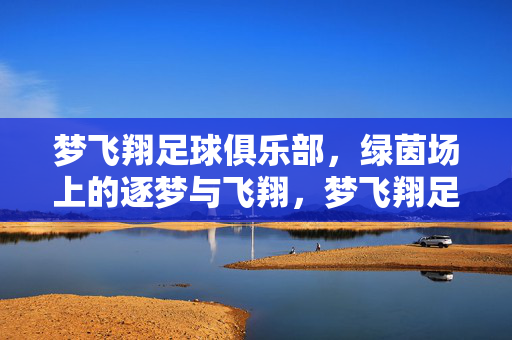 梦飞翔足球俱乐部，绿茵场上的逐梦与飞翔，梦飞翔足球俱乐部，绿茵场上的逐梦与飞翔