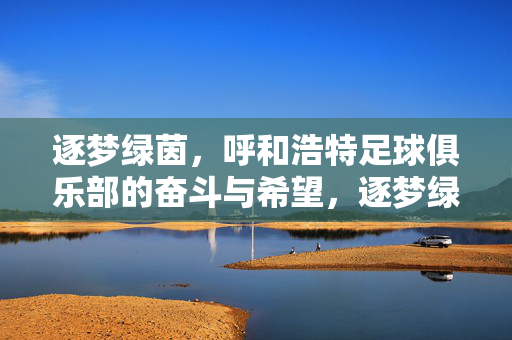 逐梦绿茵，呼和浩特足球俱乐部的奋斗与希望，逐梦绿茵，呼和浩特足球俱乐部的奋斗与希望