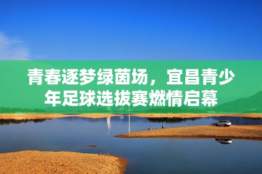 青春逐梦绿茵场，宜昌青少年足球选拔赛燃情启幕