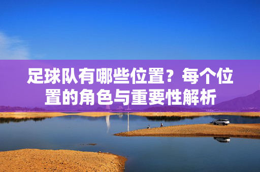 足球队有哪些位置？每个位置的角色与重要性解析