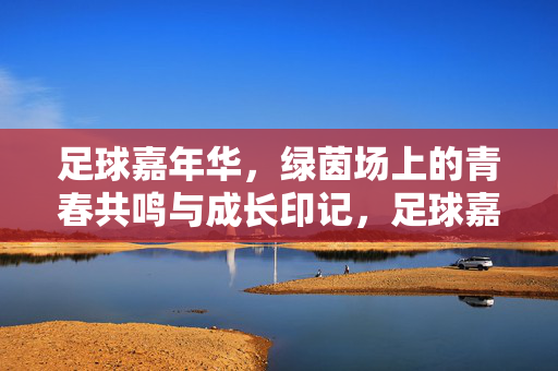 足球嘉年华，绿茵场上的青春共鸣与成长印记，足球嘉年华，绿茵场上的青春共鸣与成长印记