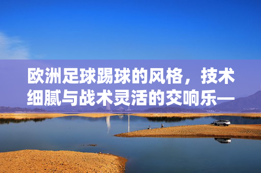 欧洲足球踢球的风格，技术细腻与战术灵活的交响乐——从传统控球到现代创新的演进，欧洲足球，技术细腻与战术灵活的交响乐——从传统控球到现代创新的演进