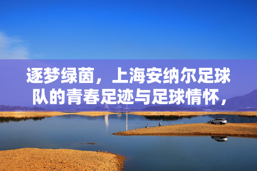 逐梦绿茵,上海安纳尔足球队的青春足迹与足球情怀,逐梦绿茵,上海安纳尔足球队的青春足迹与足球情怀