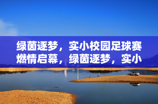 绿茵逐梦,实小校园足球赛燃情启幕,绿茵逐梦,实小校园足球赛燃情启幕
