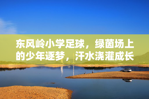 东风岭小学足球,绿茵场上的少年逐梦,汗水浇灌成长之路,东风岭小学足球,绿茵场上的少年逐梦,汗水浇灌成长之路