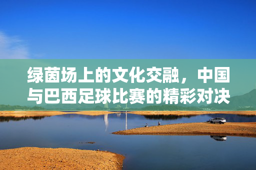 绿茵场上的文化交融，中国与巴西足球比赛的精彩对决与深层思考