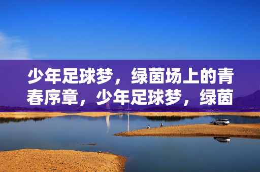 少年足球梦，绿茵场上的青春序章，少年足球梦，绿茵场上的青春序章