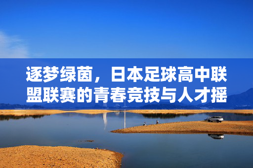 逐梦绿茵，日本足球高中联盟联赛的青春竞技与人才摇篮，逐梦绿茵，日本足球高中联盟联赛的青春竞技与人才摇篮