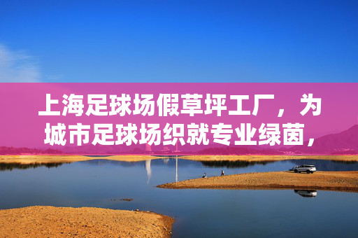上海足球场假草坪工厂，为城市足球场织就专业绿茵，上海足球场假草坪工厂，为城市足球场织就专业绿茵