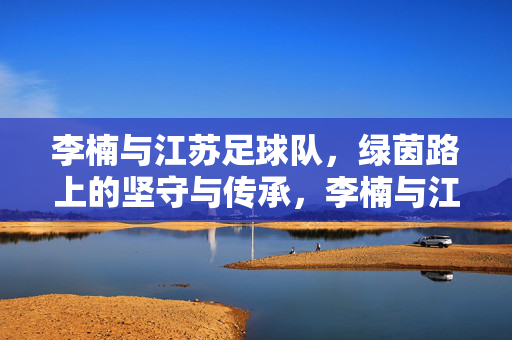 李楠与江苏足球队，绿茵路上的坚守与传承，李楠与江苏足球队，绿茵路上的坚守与传承