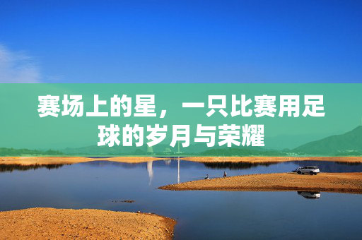 赛场上的星,一只比赛用足球的岁月与荣耀