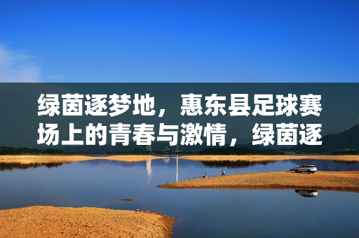 绿茵逐梦地，惠东县足球赛场上的青春与激情，绿茵逐梦地，惠东县足球赛场上的青春与激情