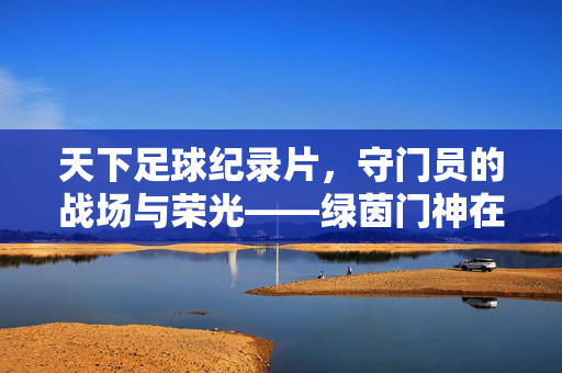 天下足球纪录片，守门员的战场与荣光——绿茵门神在银幕上的传奇叙事，天下足球纪录片，守门员的战场与荣光——绿茵门神的银幕传奇叙事