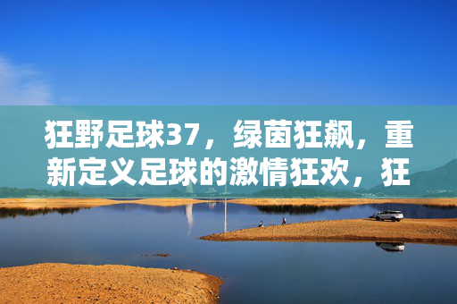 狂野足球37，绿茵狂飙，重新定义足球的激情狂欢，狂野足球37，绿茵狂飙，重新定义足球的激情狂欢