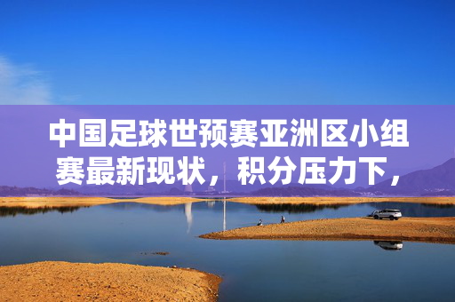 中国足球世预赛亚洲区小组赛最新现状，积分压力下，关键赛程待解，出线前景待观察，中国足球世预赛亚洲区小组赛，积分压力下关键赛程待解，出线前景待观察