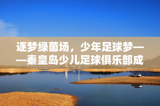 逐梦绿茵场，少年足球梦——秦皇岛少儿足球俱乐部成长记，逐梦绿茵场，少年足球梦——秦皇岛少儿足球俱乐部成长记