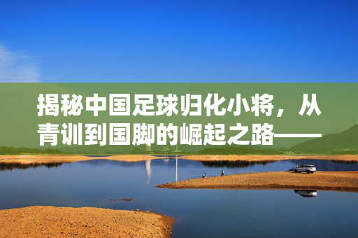 揭秘中国足球归化小将，从青训到国脚的崛起之路——聚焦典型球员的归化历程与表现，揭秘中国足球归化小将，从青训到国脚的崛起之路——典型球员的归化历程与表现