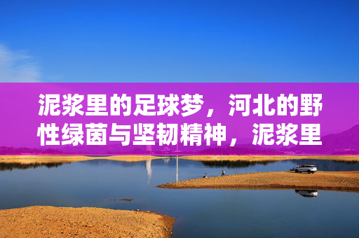 泥浆里的足球梦，河北的野性绿茵与坚韧精神，泥浆里的足球梦，河北的野性绿茵与坚韧精神