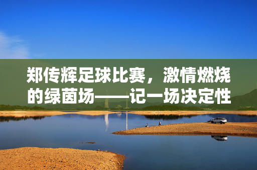 郑传辉足球比赛，激情燃烧的绿茵场——记一场决定性的联赛对决，郑传辉足球比赛，激情燃烧的绿茵场——记一场决定性的联赛对决