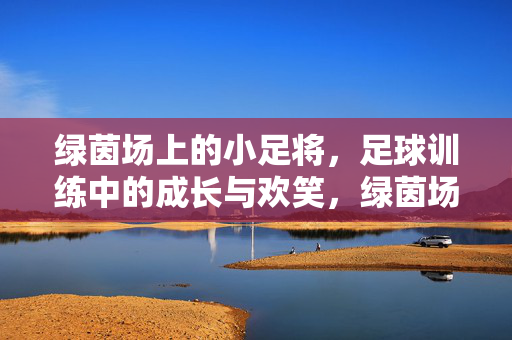 绿茵场上的小足将，足球训练中的成长与欢笑，绿茵场上的小足将，足球训练中的成长与欢笑