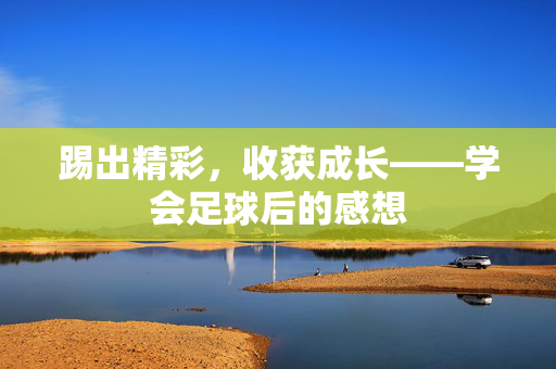 踢出精彩，收获成长——学会足球后的感想