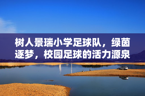 树人景瑞小学足球队，绿茵逐梦，校园足球的活力源泉