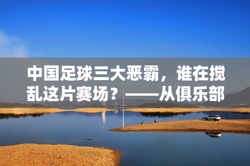 中国足球三大恶霸,谁在搅乱这片赛场?——从俱乐部霸权到足协乱象的深层剖析