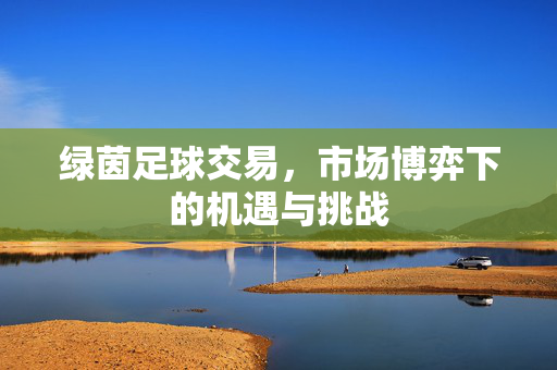绿茵足球交易，市场博弈下的机遇与挑战