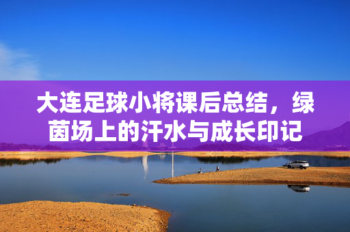 大连足球小将课后总结，绿茵场上的汗水与成长印记
