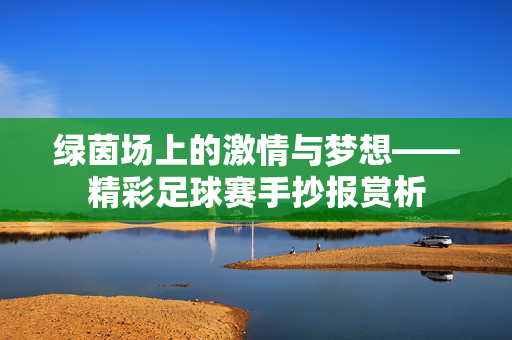 绿茵场上的激情与梦想——精彩足球赛手抄报赏析
