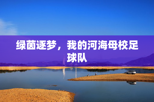 绿茵逐梦，我的河海母校足球队