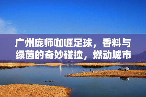 广州庞师咖喱足球，香料与绿茵的奇妙碰撞，燃动城市足球梦，广州庞师咖喱足球，香料与绿茵的奇妙碰撞，燃动城市足球梦