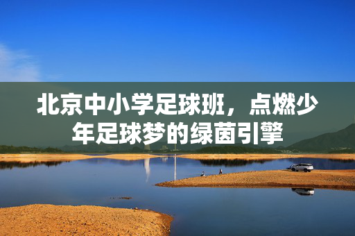 北京中小学足球班，点燃少年足球梦的绿茵引擎
