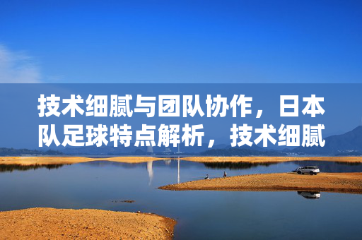 技术细腻与团队协作，日本队足球特点解析，技术细腻与团队协作，日本队足球特点解析