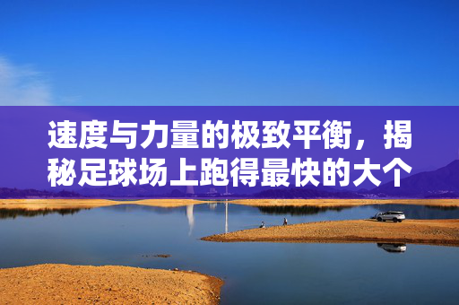 速度与力量的极致平衡，揭秘足球场上跑得最快的大个子球员