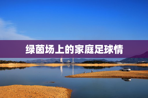 绿茵场上的家庭足球情