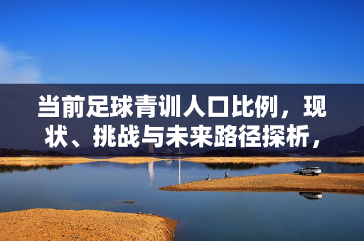 当前足球青训人口比例，现状、挑战与未来路径探析，当前足球青训人口比例，现状、挑战与未来路径探析