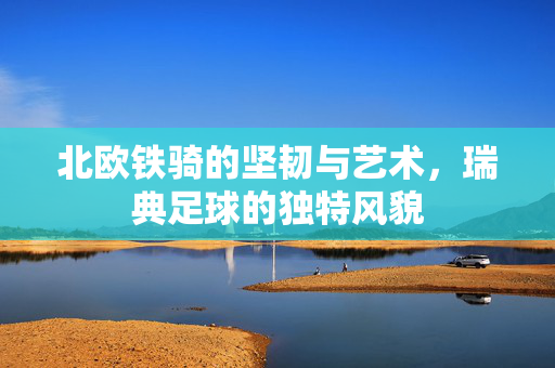 北欧铁骑的坚韧与艺术，瑞典足球的独特风貌