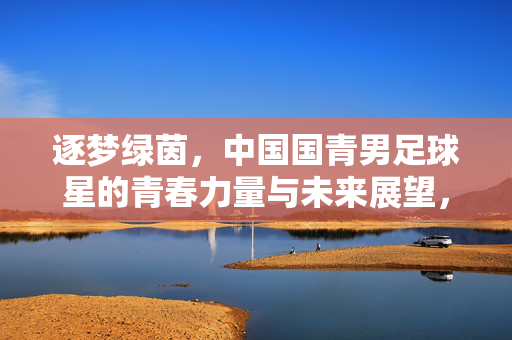 逐梦绿茵，中国国青男足球星的青春力量与未来展望，逐梦绿茵，中国国青男足球星的青春力量与未来展望
