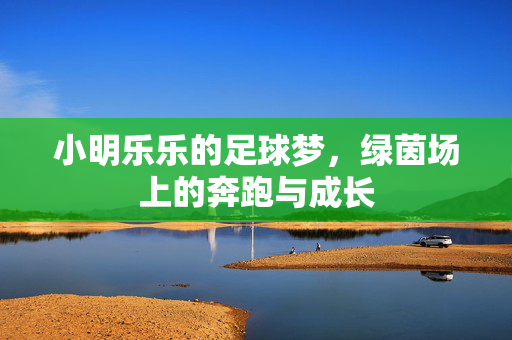 小明乐乐的足球梦，绿茵场上的奔跑与成长