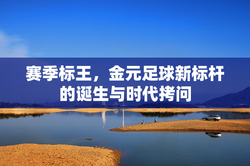 赛季标王，金元足球新标杆的诞生与时代拷问