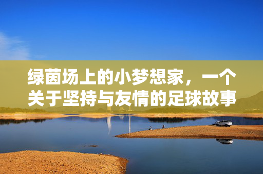 绿茵场上的小梦想家，一个关于坚持与友情的足球故事，绿茵场上的小梦想家，一个关于坚持与友情的足球故事