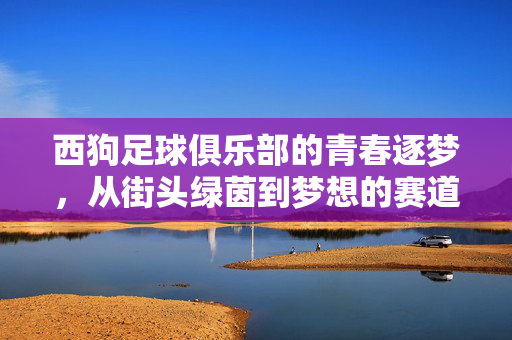 西狗足球俱乐部的青春逐梦，从街头绿茵到梦想的赛道