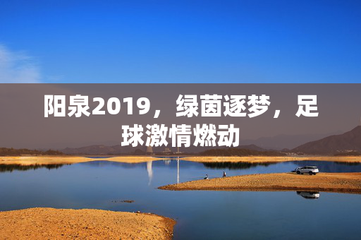 阳泉2019，绿茵逐梦，足球激情燃动