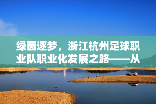 绿茵逐梦，浙江杭州足球职业队职业化发展之路——从地方力量到职业化征程的探索与展望，绿茵逐梦，浙江杭州足球职业队职业化发展之路——从地方力量到职业化征程的探索与展望