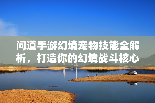 问道手游幻境宠物技能全解析，打造你的幻境战斗核心，问道手游幻境宠物技能全解析，打造幻境战斗核心