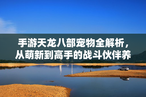 手游天龙八部宠物全解析,从萌新到高手的战斗伙伴养成指南,手游天龙八部宠物养成全解析,从萌新到高手的战斗伙伴指南