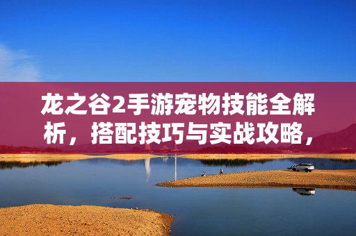 龙之谷2手游宠物技能全解析，搭配技巧与实战攻略，龙之谷2手游宠物技能全解析，搭配与实战技巧
