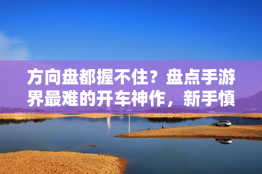 方向盘都握不住？盘点手游界最难的开车神作，新手慎入！方向盘都握不住？盘点手游界最难开车神作，新手慎入！